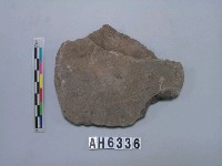 藏品(磨製石斧)的圖片